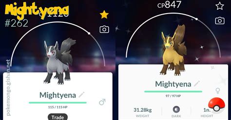 mightyena pokemon go|pokemon go new pokemon release.
